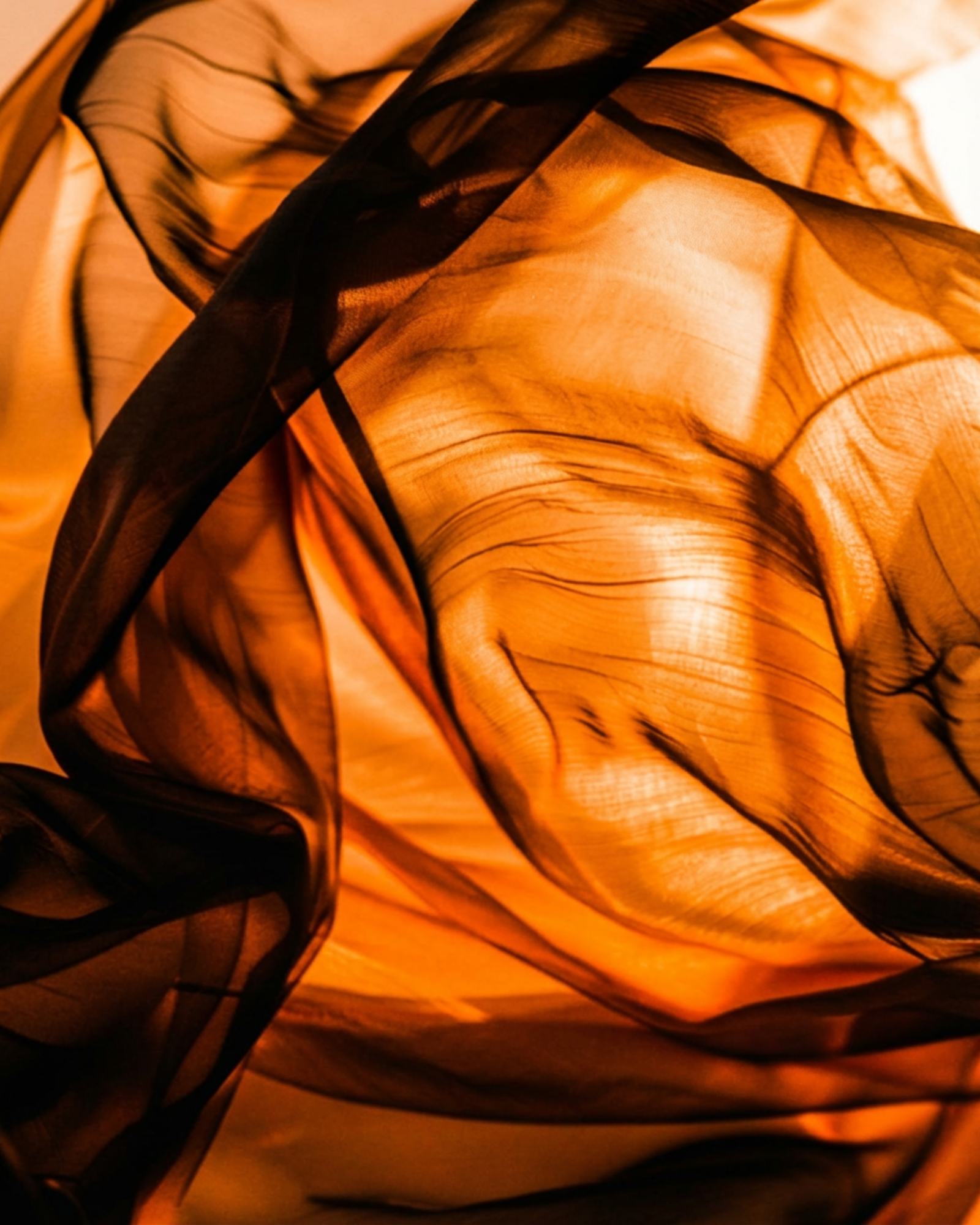 Article Illustration